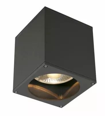 BIG THEO, plafonnier ext�rieur, anthracite, GU10/QPAR111, 75W max, IP44 (229555)