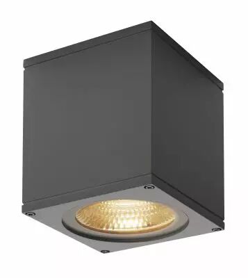 BIG THEO, plafonnier ext�rieur, anthracite, LED, 21W, 3000K, IP44 (234535)