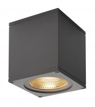 BIG THEO, plafonnier extérieur, anthracite, LED, 21W, 3000K, IP44 (234535)