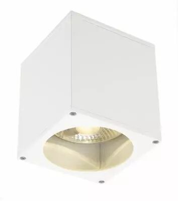 BIG THEO, plafonnier ext�rieur, blanc, GU10/QPAR111, 75W max, IP44 (229551)