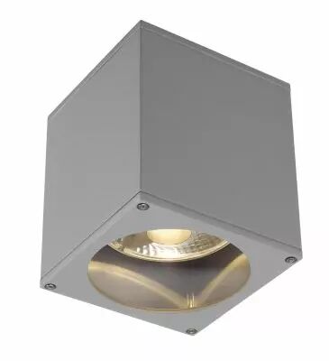 BIG THEO, plafonnier ext�rieur, gris argent, GU10/QPAR111, 75W max, IP44 (229554)