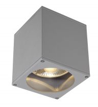 BIG THEO, plafonnier extérieur, gris argent, GU10/QPAR111, 75W max, IP44 (229554)