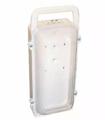 Blocs autonomes portables d�intervention BAPI 100lm (6007297)