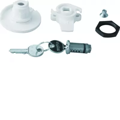 Bouton verrou cl� 405 (FZ452N)