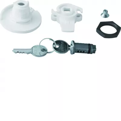 Bouton verrou cl� 455 (FZ453N)