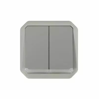 Commande double interrupteur ou poussoir lumineux Plexo composable gris (069526L)