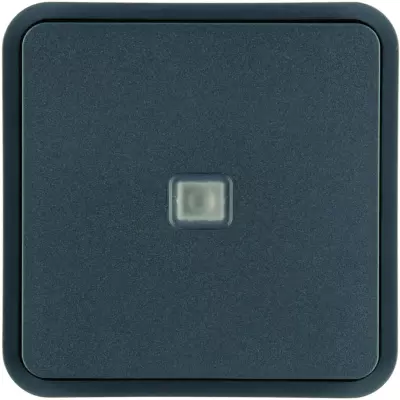 Cubyko 1 touche KNX � voyant coloris gris (WNT912)