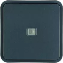 Cubyko 1 touche KNX à voyant coloris gris (WNT912)