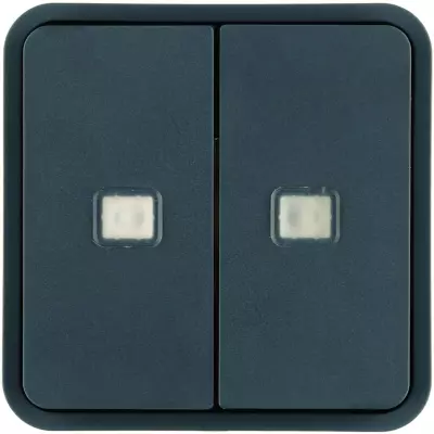 Cubyko 2 touches KNX � voyants coloris gris (WNT954)