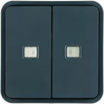 Cubyko 2 touches KNX à voyants coloris gris (WNT954)