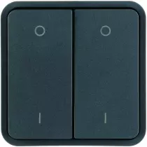 Cubyko 2 touches KNX pour 2 éclairages coloris gris (WNT964)