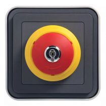 cubyko arrêt d\'urgence avec clé saillie gris ip55 (wnc032)