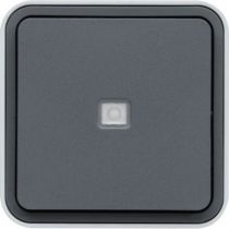 cubyko Poussoir 1O/1F à voyant saillie gris IP55 (WNC021)
