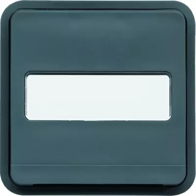 cubyko Prise 2P+T avec porte-�tiquette associable gris IP55 (WNA104)