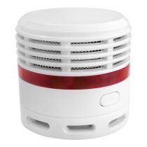 detecteur de fumee avec pile lithium scellee duree 10 ans (100647)