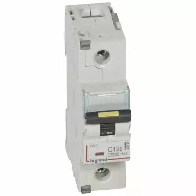 Disjoncteur DX� 10000-vis/vis-1P-230/400V~-125A-16kA-courbe C - 1,5M (409142)