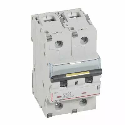 Disjoncteur DX� 10000-vis/vis-2P-230/400V~-100A-16kA-courbe C - 3M (409229)