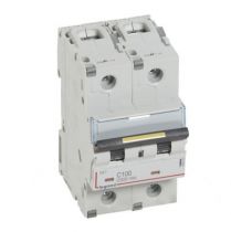 Disjoncteur DX³ 10000-vis/vis-2P-230/400V~-100A-16kA-courbe C - 3M (409229)