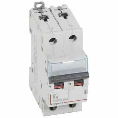 Disjoncteur DX� 10000-vis/vis-2P-230/400V~-6A-16kA-courbe B - 2M (408956)