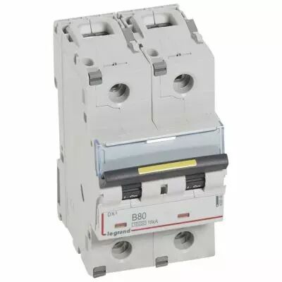 Disjoncteur DX� 10000-vis/vis-2P-230/400V~-80A-16kA-courbe B - 3M (408966)