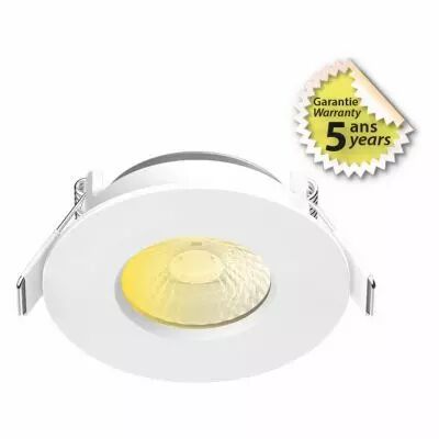 eclat cct ii spot fixe 60� 6w 2700/3000/4000 ip65 dim 5ans (100269)