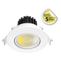 eclat cct ii spot orient 60° 8w 2700/3000/4000k ip65 dim 5ans (100794)