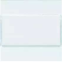 Enjoliveur 2PB KNX pure (WXE302B)