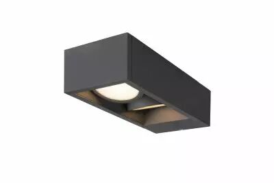 ESKINA FRAME, applique ext�rieure, double, anthracite, LED, 27W, 3000/4000K, interrupteur CCT, IP65 (1004748)