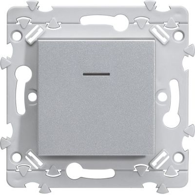 Essensya Poussoir inverseur 1O+1F  voyant Titane (WE023T)