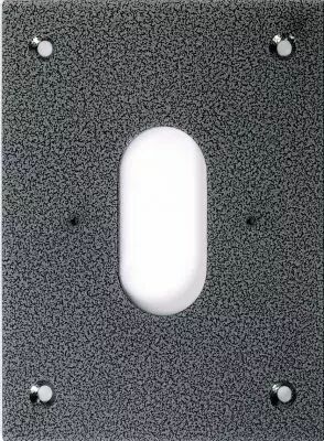 Fa�ade inox pour pa1201 pour bpnonf60,bpnonfe60,bpnonf60c & bpnonf60cv (PFBP60)