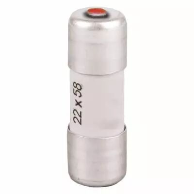 Fusible  100A gL/gG 22x58 � percuteur (29198)