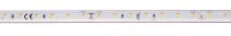 GRAZIA IP FLEXSTRIP, bandeau LED extérieur, 5 m, blanc, LED, 4000K, 700lm/m, IP54 (1004736)