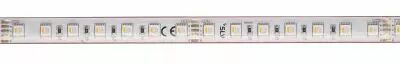 GRAZIA IP FLEXSTRIP, bandeau LED ext�rieur, 5 m, blanc, LED, RGBW, IP54 (1004737)