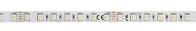 GRAZIA PRO FLEXSTRIP, bandeau LED int�rieur, 5 m, 10 mm, blanc, RGBW (1004727)