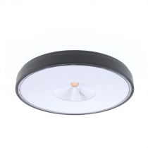 indigo-skip 2 30w 3800lm 3000k 120° ip65 noir (ou28201)