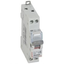 Inter-sectionneur de tête DX³-IS - vis/vis - à voyant - 2P - 250 V~ - 40 A - 1 M (406439)