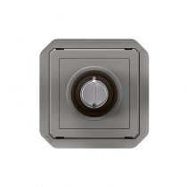 Interrupteur à clé Ronis 2 positions Plexo composable gris (069534L)