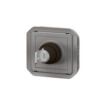 Interrupteur à clé Ronis 2 positions Plexo composable gris (069534L)