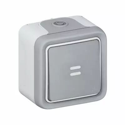 Interrupteur ou va-et-vient lumineux �tanche Plexo complet saillie - gris (069903)