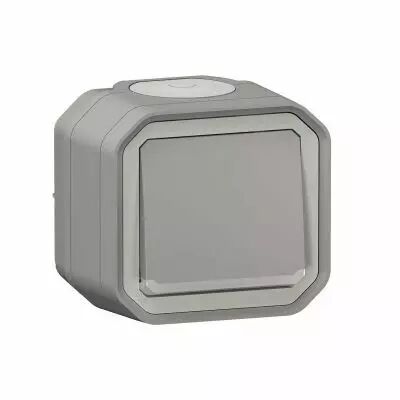 Interrupteur ou va-et-vient t�moin 10AX 250V Plexo complet saillie gris (069712L)