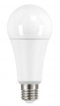 Lampe standard A67 LED E27 19W 2700K 2452lm, Cl.énerg.E, 15000H (20009)