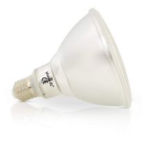 led par38 15 w e27 3000k boite ip65 (8120)