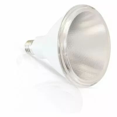 led par38 15w blc e27 4000k ip65 boite (100681)