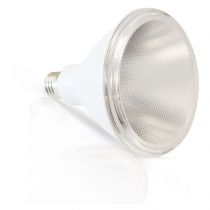 led par38 15w blc e27 4000k ip65 boite (100681)