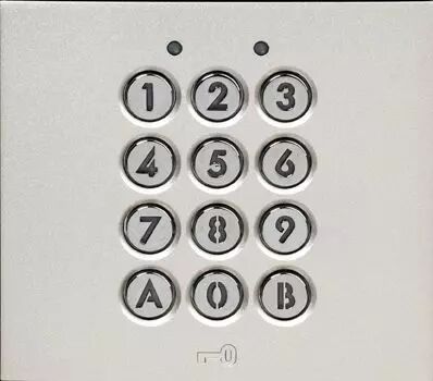 Module clavier 100 codes 2 relais avec fa�ade pour gamme gt (GTAC)
