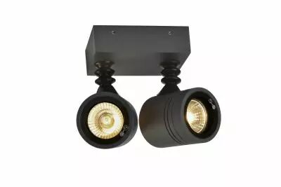 MYRA, applique et plafonnier ext�rieur, double, anthracite, GU10/QPAR51, 2x 50W max, IP55 (233095)