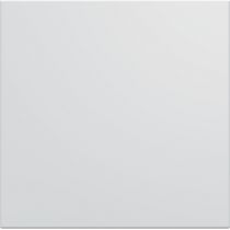 Obturateur gallery 2 modules pure (WXF689B)