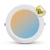 orion downlight diam 270mm multi-puis 50/60w cct ip54 b (765133)