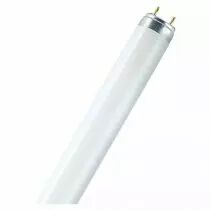 osram tube fluo lumilux t8 36w/865 g13 (4050300517858)