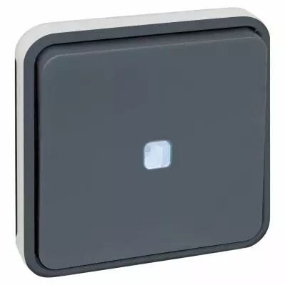 OXXO BP lumineux compos GRIS IP55 (60824)